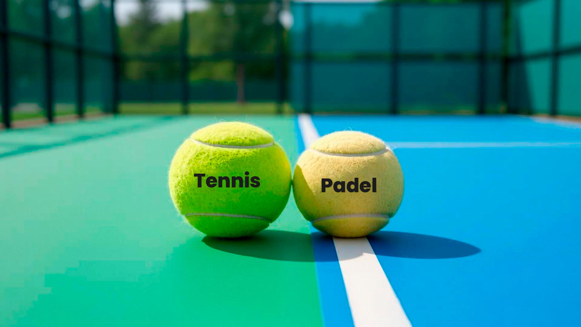Tennis ball and padel ball side by side on court labeled Tennis and Padel